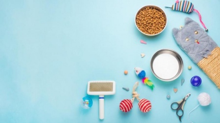 Services animaliers &agrave; Entzheim : quelles prestations pour votre animal ?